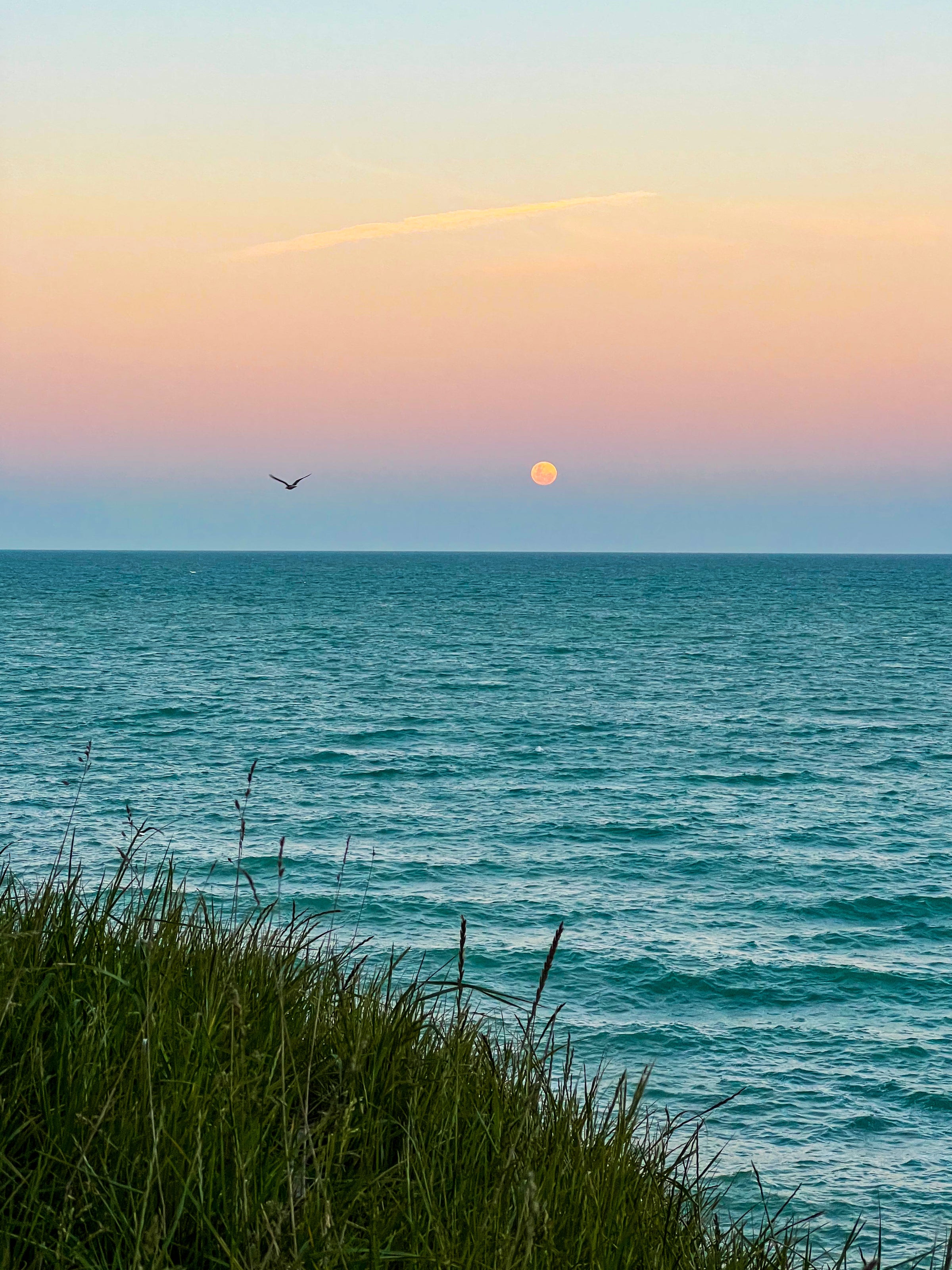 Sunset off the coast of Dunedin
