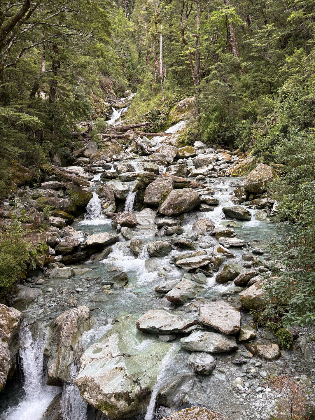 The Routeburn Track: What It's Really Like to Hike One of New Zealand's Great Walks (And What It Teaches You About Guiding)
