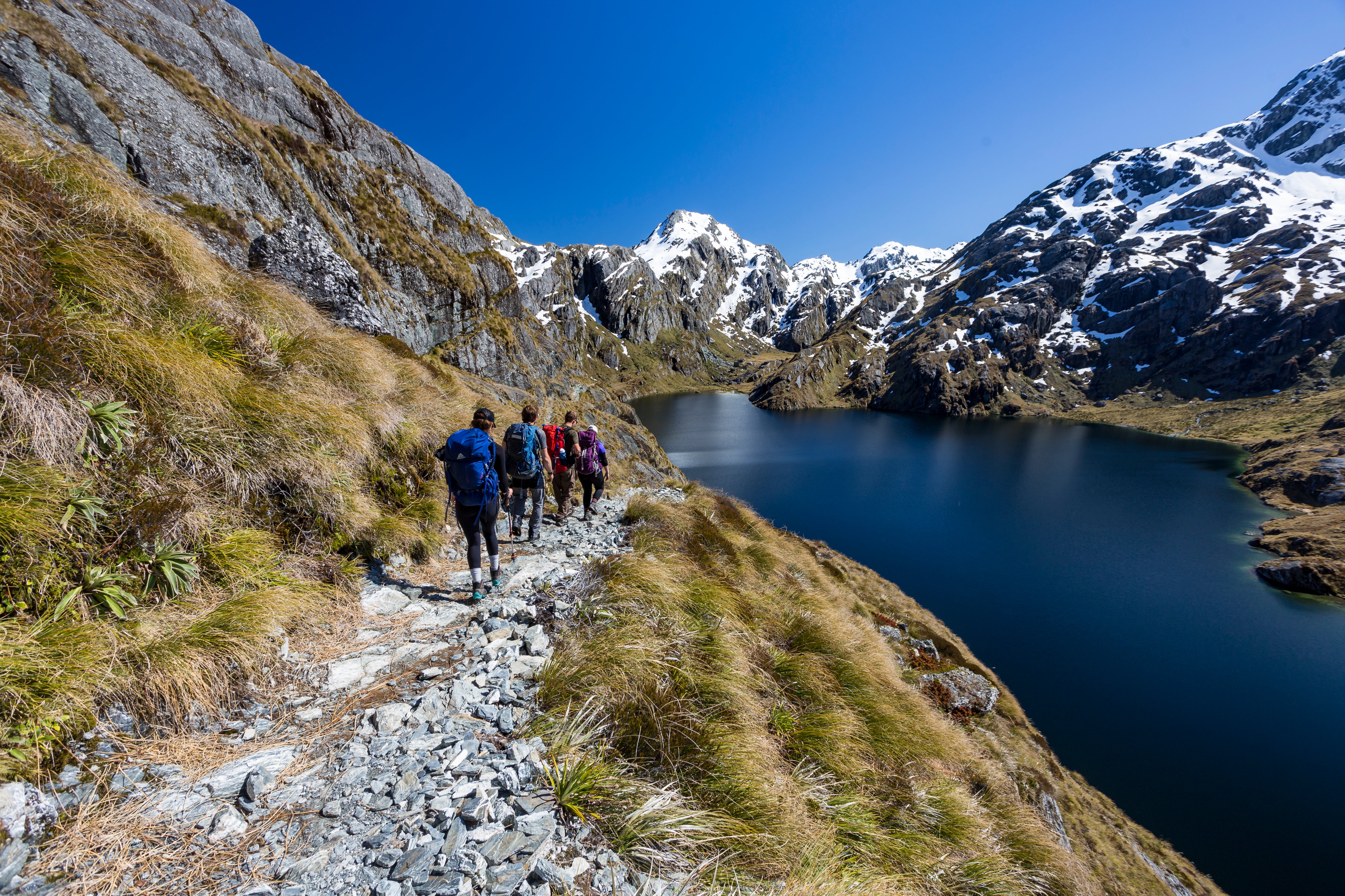Group hiking next to Harris Lake on the Routeburn Track