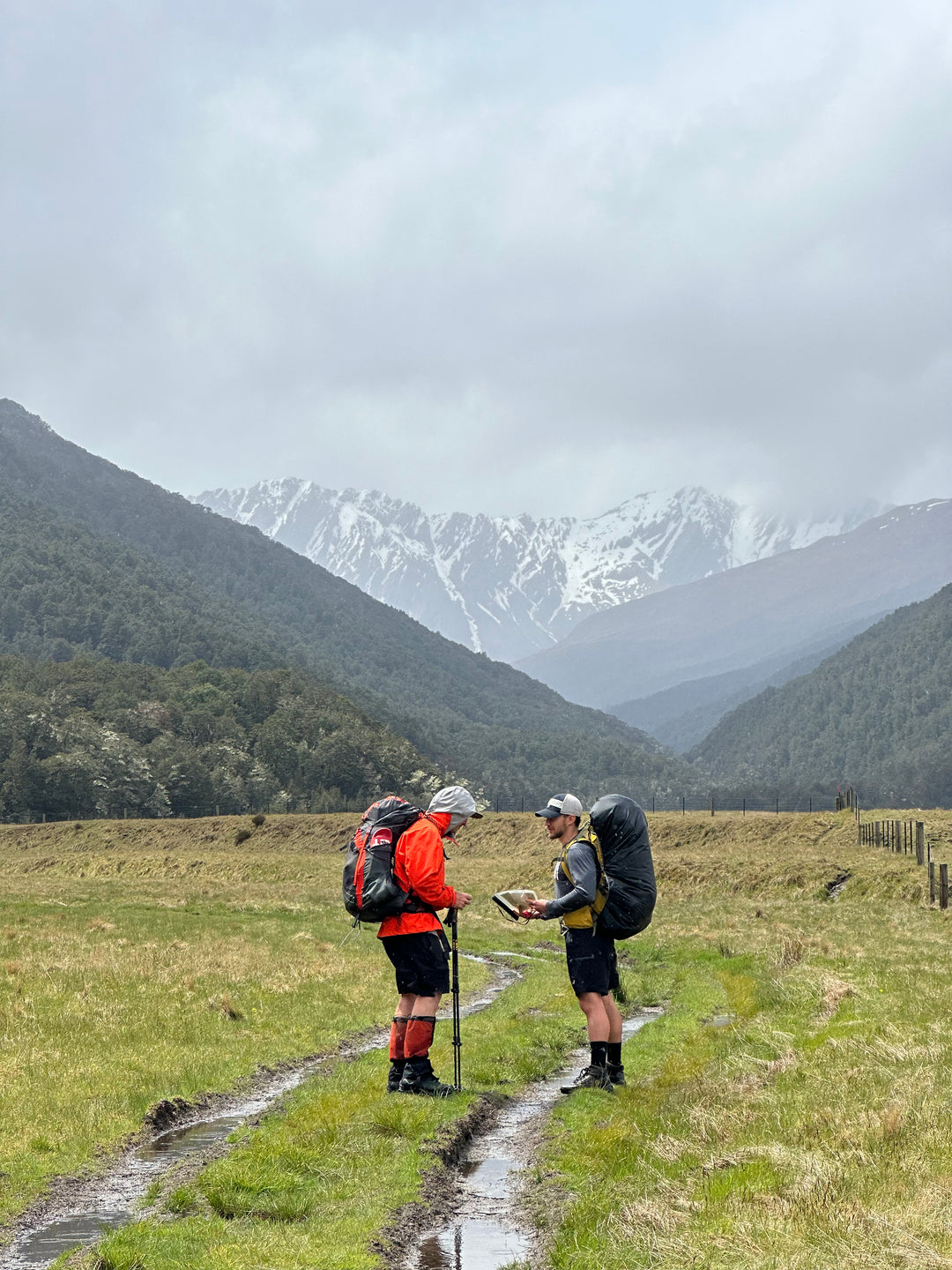 Hiking courses in New Zealand