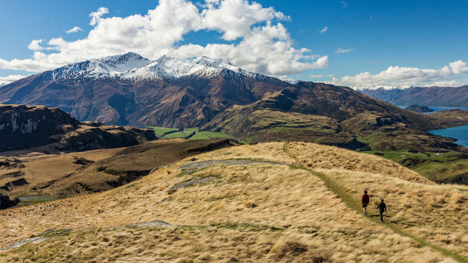 Couple hiking above Wānaka amongst tussock