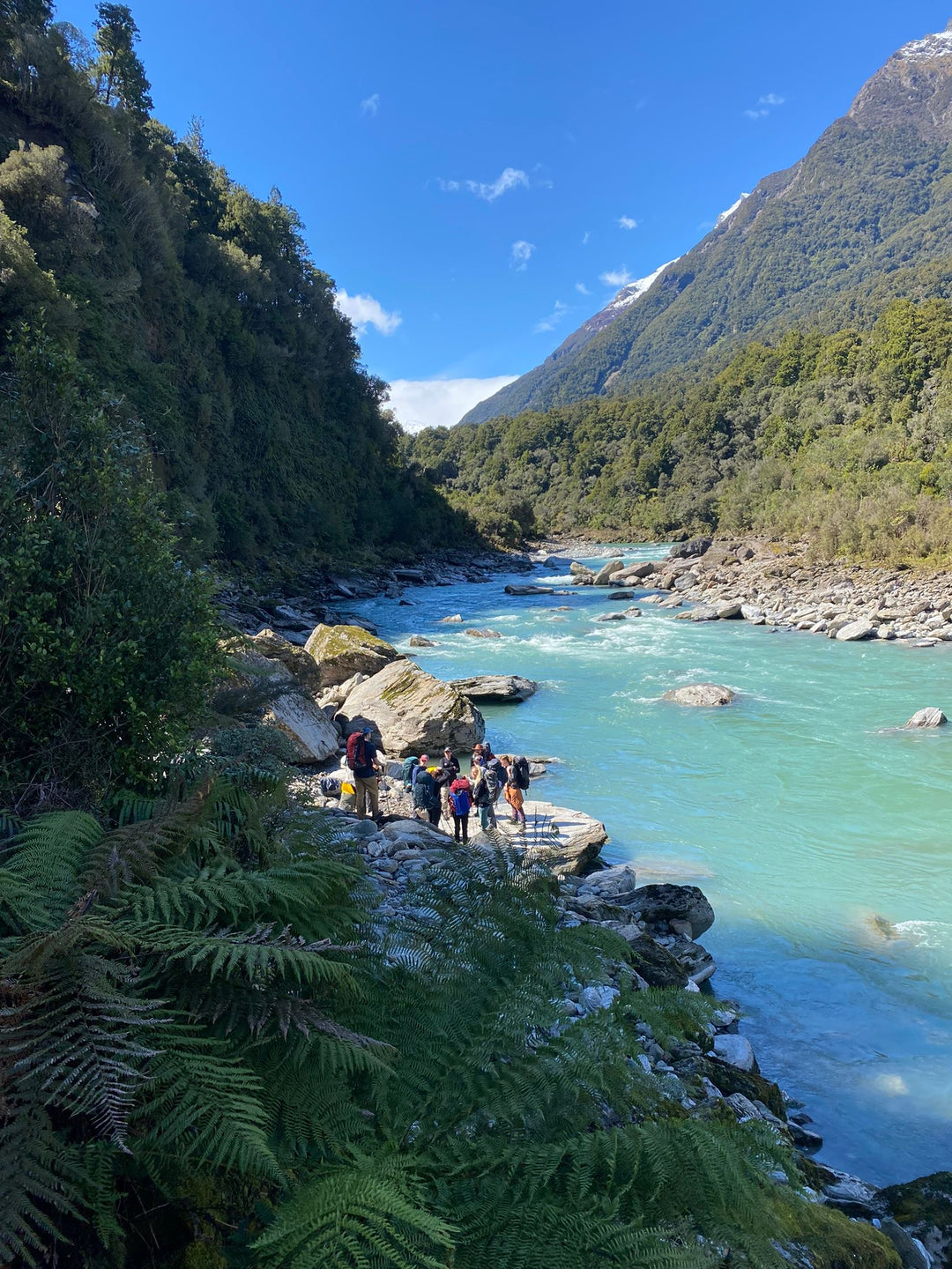 Hiking the Copland Valley Track