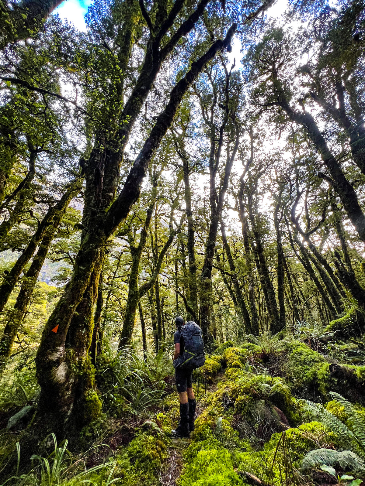 Rock Climbing and Bush Camp | Pure Exploration