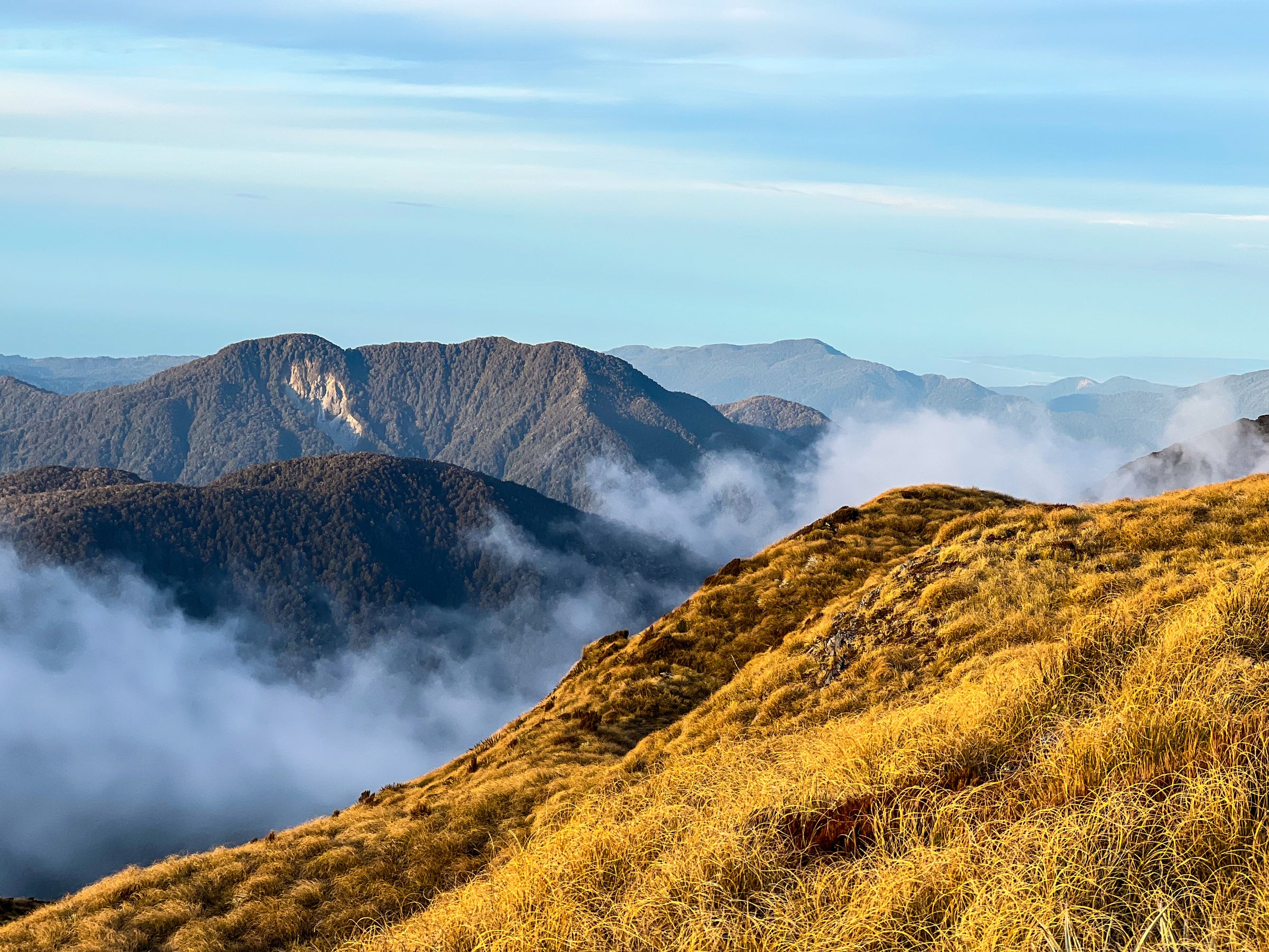 Hills in the South Island of New Zealand